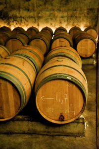 酿酒。葡萄酒生产技术。酿酒的民间传统。摩尔多瓦的葡萄酒生产。古代葡萄加工传统