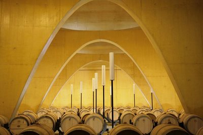 Antión酒庄:提供完美葡萄酒体验的建筑艺术杰作