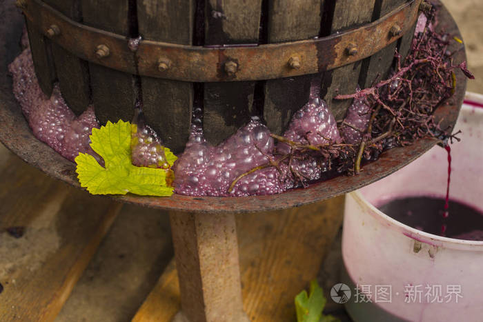 酿酒的民间传统. 摩尔多瓦的葡萄酒生产. 葡萄加工的古老传统.