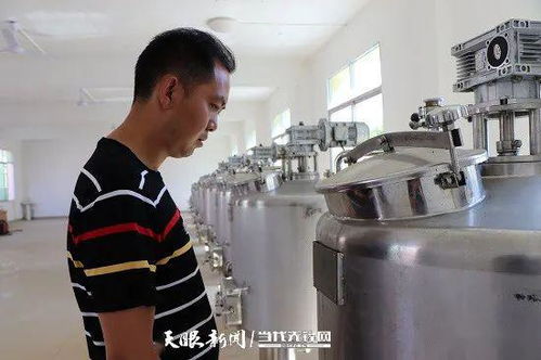 沙土镇 葡萄架上结出乡村振兴致富 果