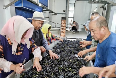 日媒:中国葡萄酒进入全球主流市场 法国米其林给予最高级评价