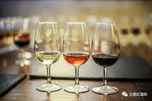 干型葡萄酒简易指南