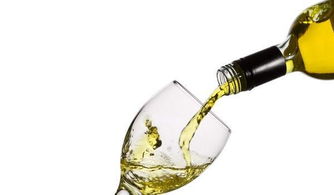 从家到餐桌 一瓶自酿白葡萄酒的自述