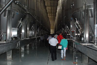 武威 中国葡萄酒旅游新领地的崛起与机遇